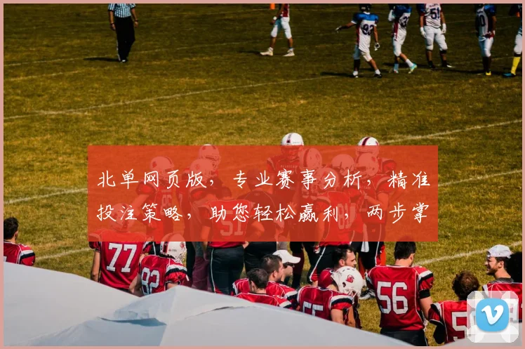 北单网页版，专业赛事分析，精准投注策略，助您轻松赢利，两步掌握